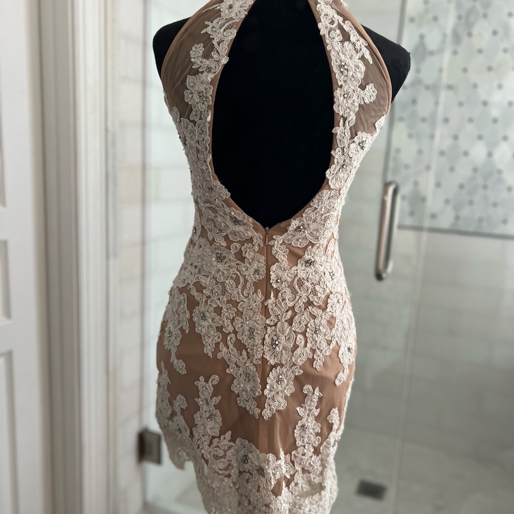 Sherri Hill Nude and Ivory Backless Lace Appliqué Dress - Picture 5 of 7
